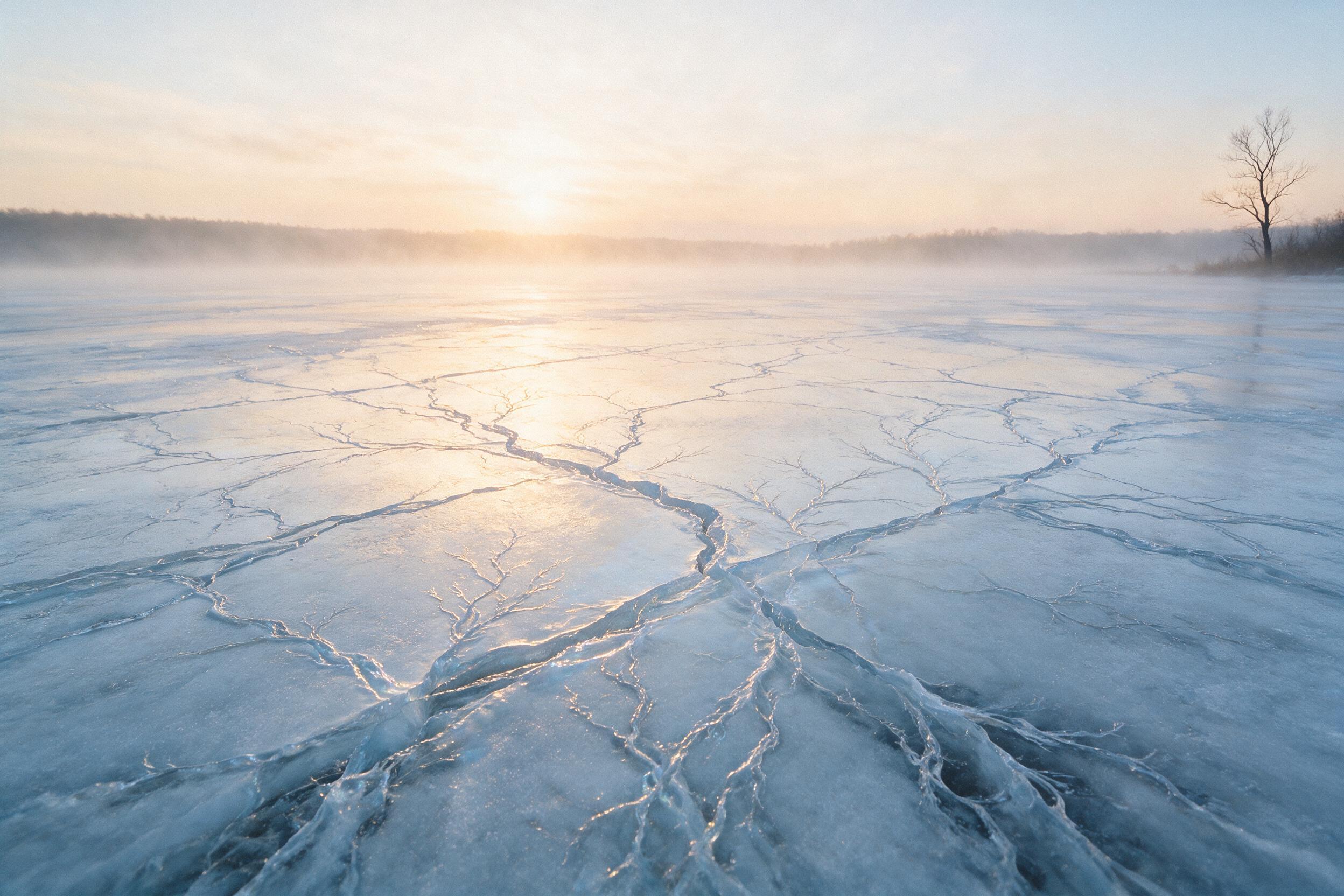 Frozen lake surface cracked in organic fractal patterns, soft diffused dawn light casting pale blue and gold refractions, thin fog layer above ice, minimalist composition with single leafless tree silhouette at edge, natural scattered light, subtle grain