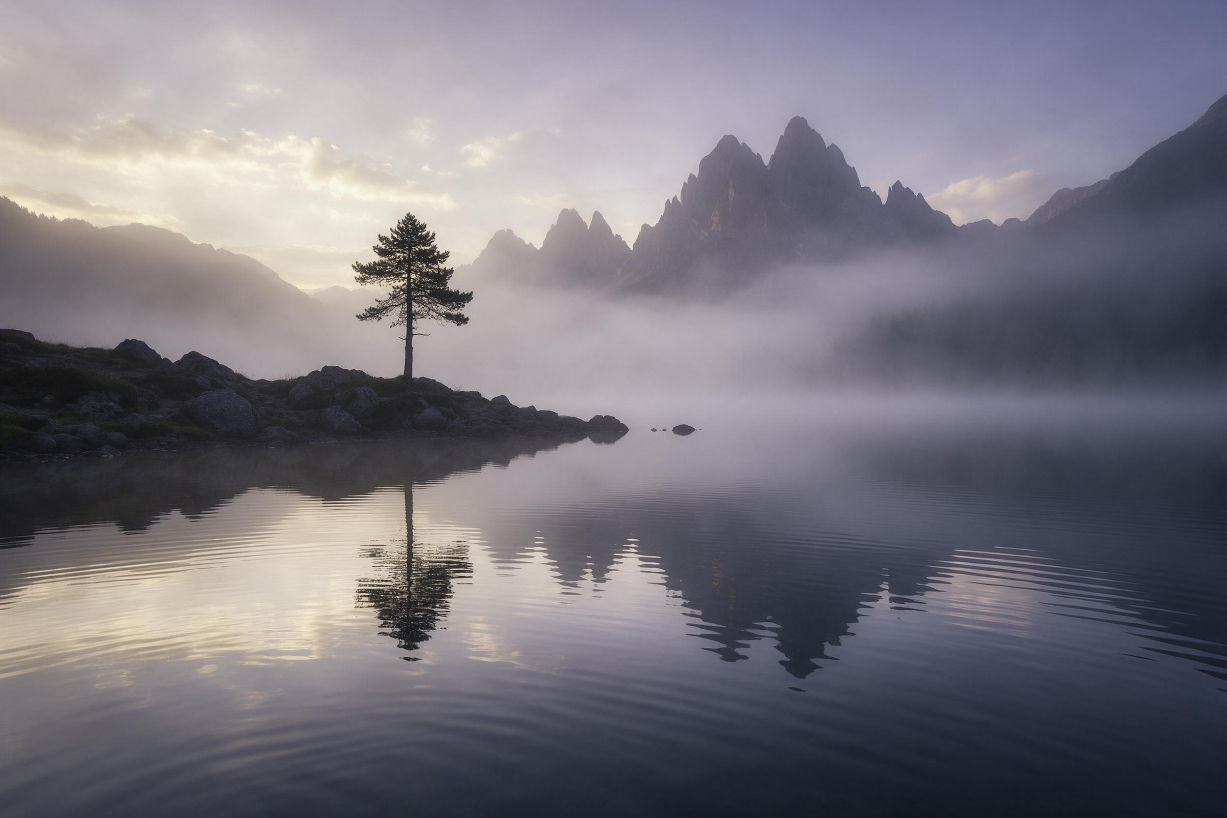 A misty alpine lake at dawn, reflected jagged peaks, subtle purple and gold sky, smooth water surface, lone pine tree silhouette on the rocky shore, soft diffused light, gentle ripples, natural color grading, quiet atmosphere, wide-angle composition.