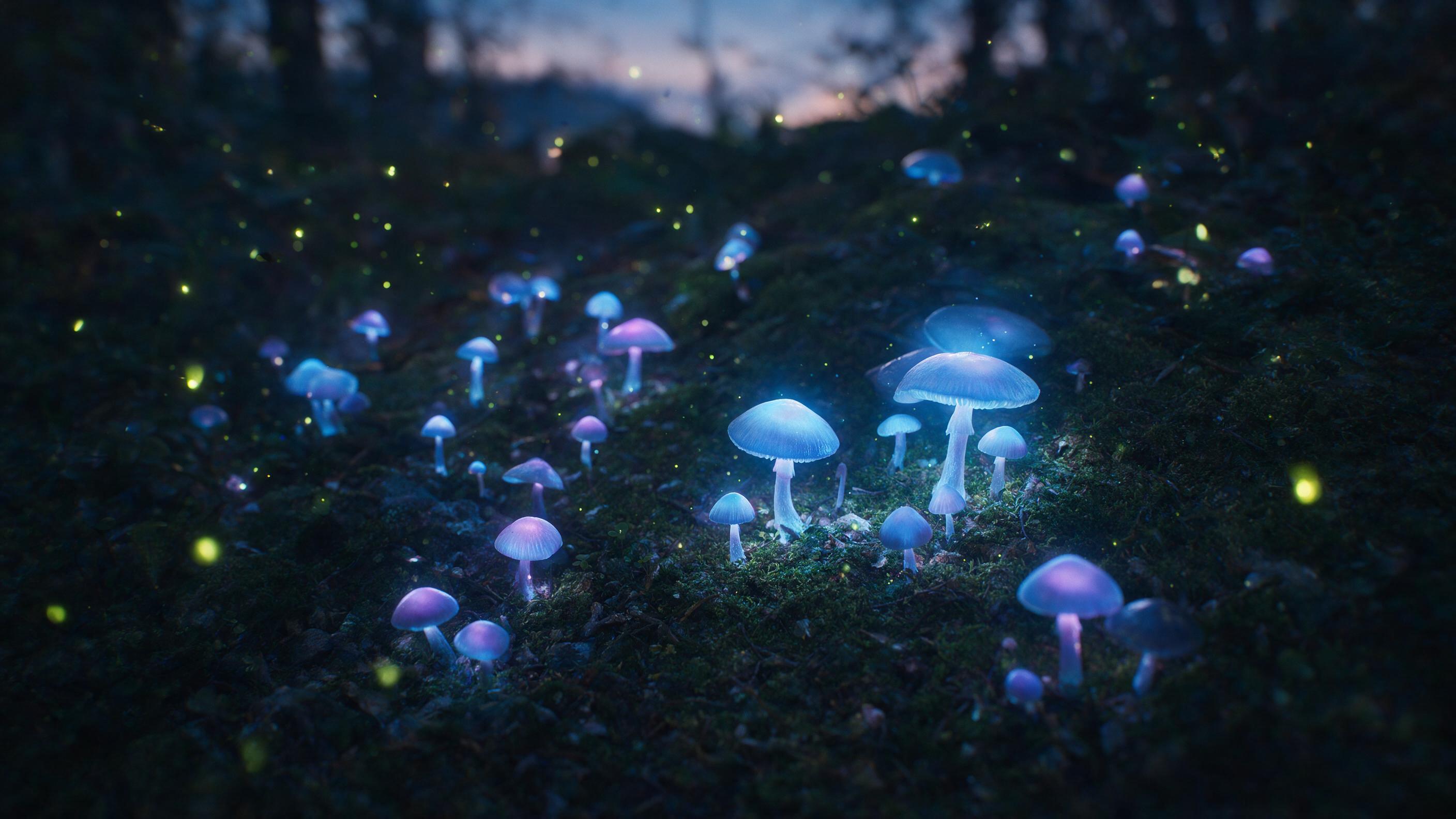 A glowing, bioluminescent mushroom forest at twilight, with soft blue and purple light emanating from the fungi, casting gentle shadows on the mossy ground, fireflies floating in the air, natural lighting, soft focus, ethereal atmosphere