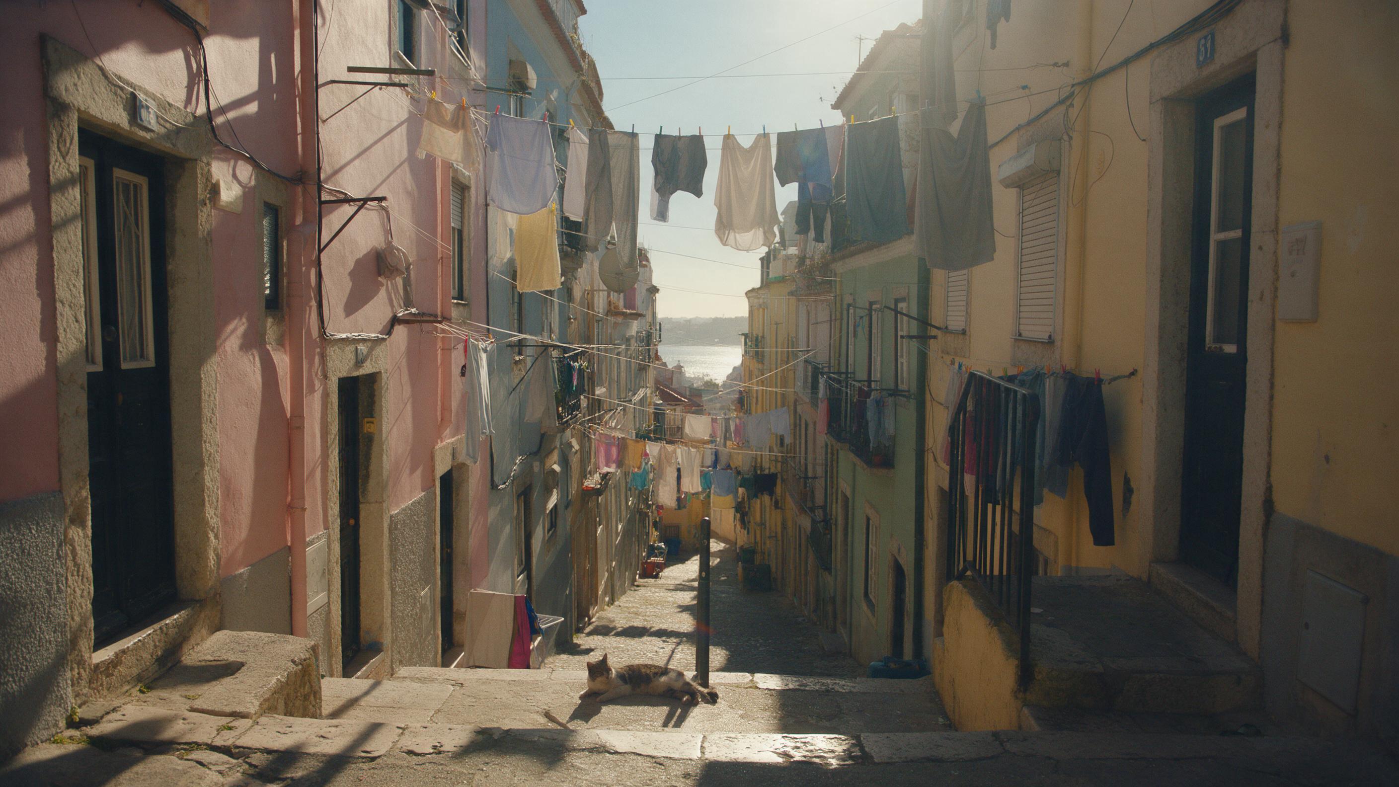 A sunlit narrow alley in Lisbon, laundry lines crisscross between pastel-colored buildings, a stray cat lounges on worn stone steps, warm golden hour light casts long shadows, a distant glimpse of the Tagus river, natural candid street photography feel, subtle film grain, slight lens flare, no peopl