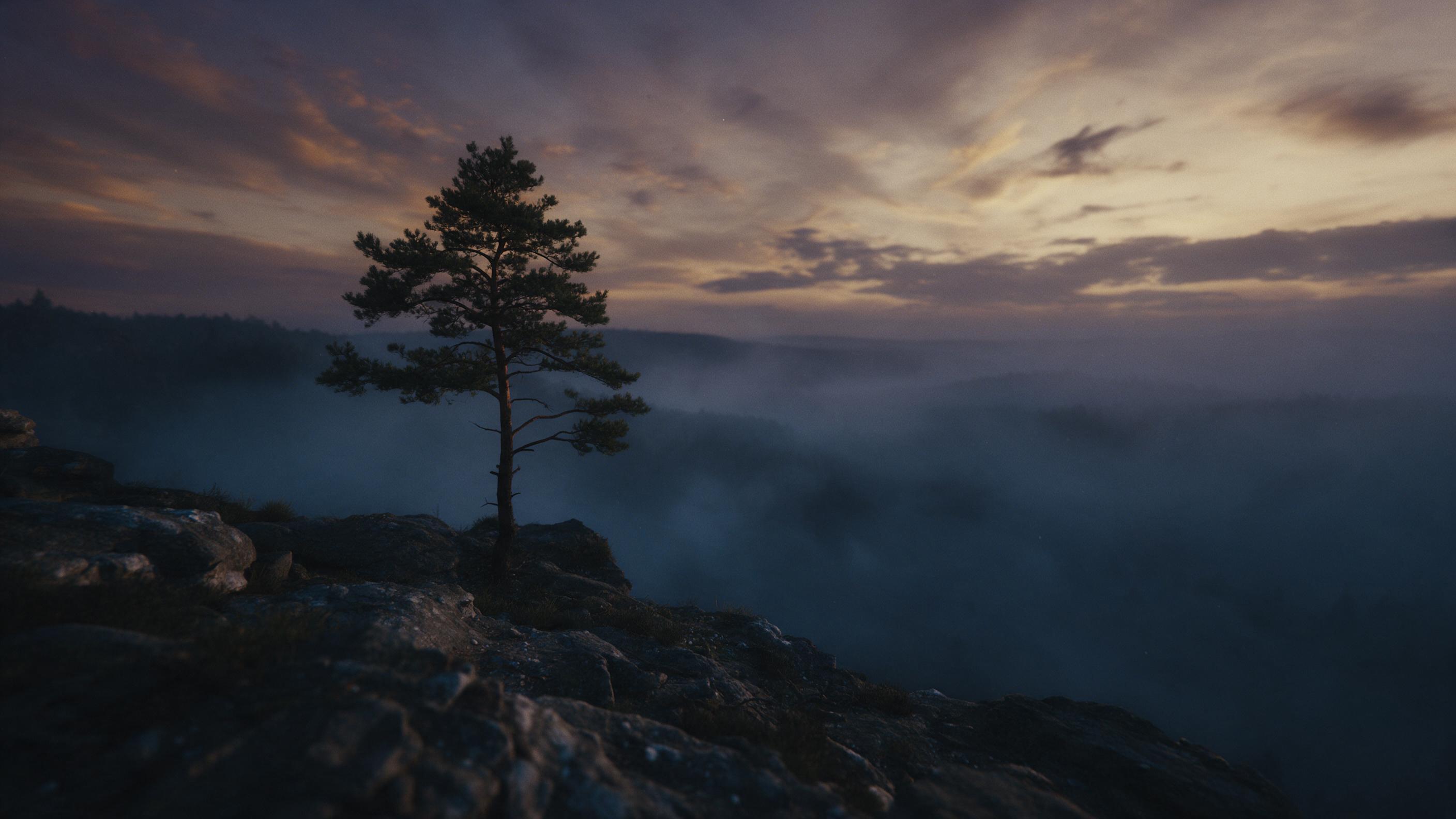 A lone pine tree on a rocky cliff edge at dusk, misty valley below shrouded in deep blue fog, sky streaked with amber and violet, soft diffused light, faint grain, cinematic composition with tree offset to the left