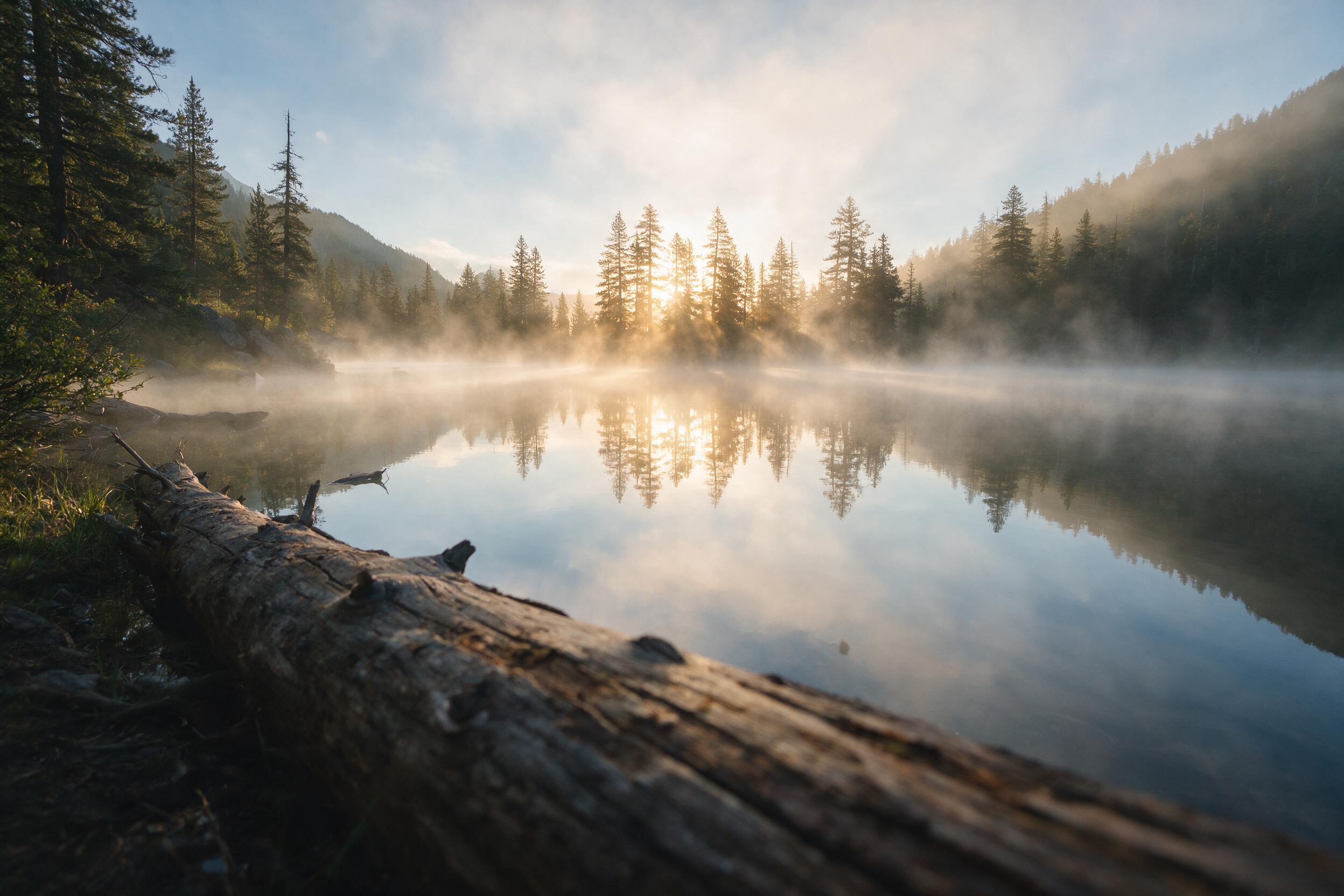 Misty morning at a mountain lake, golden sunrise light filtering through pine trees, still water reflecting the sky, soft fog lifting from the surface, composition with a fallen log in the foreground, shallow depth of field, natural color palette, Peaceful and serene atmosphere.