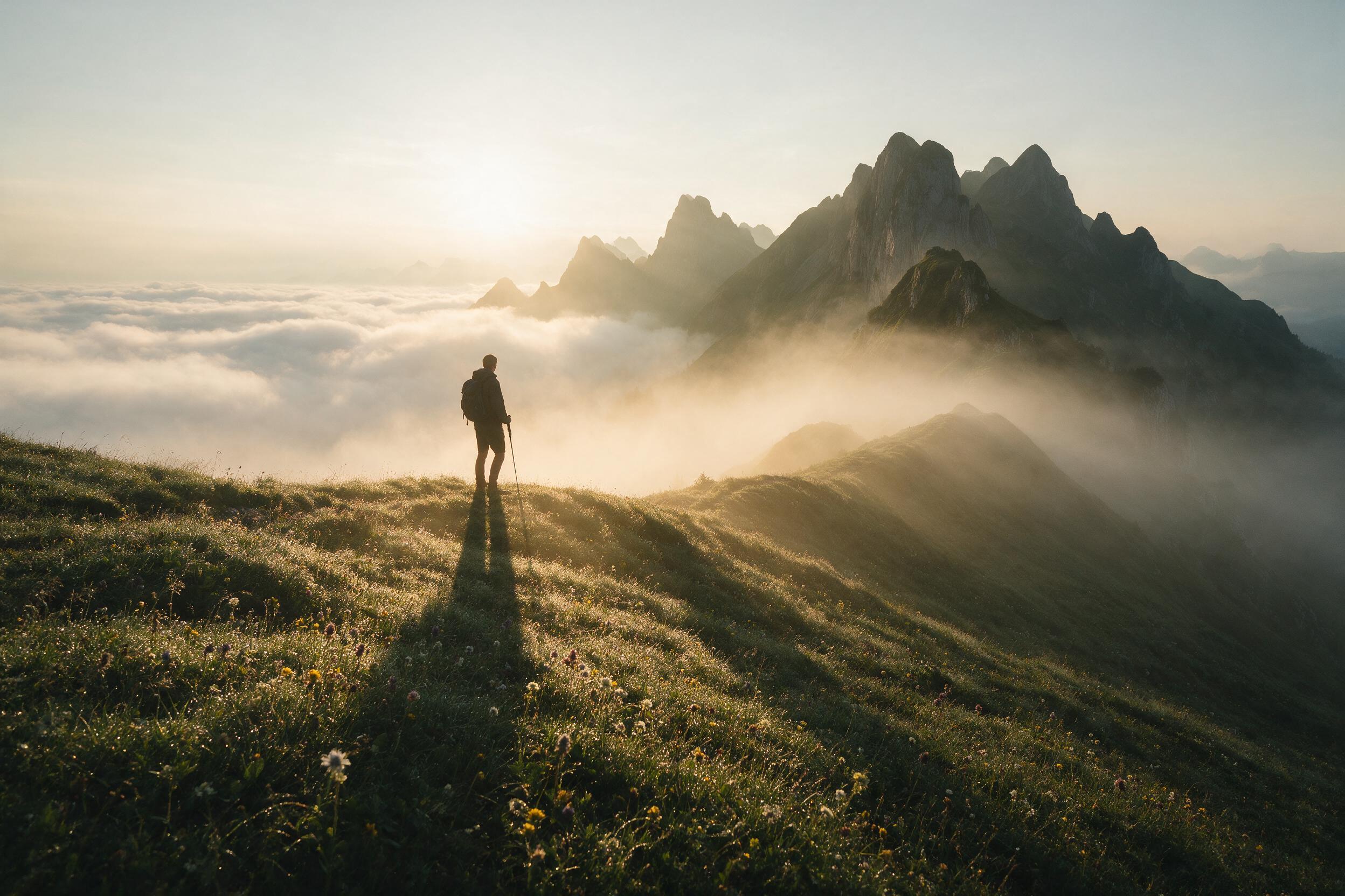 A lone hiker stands on a misty alpine ridge at dawn, overlooking a sea of clouds below jagged peaks. Golden sunlight breaks through soft fog, casting long shadows across dew-covered wildflowers. Shot with a 35mm lens, slight haze, natural morning light, muted greens and warm amber tones.